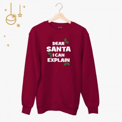 Bluza unisex z nadrukiem - Dear Santa i can explain