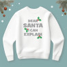 Bluza Dear Santa i can explain