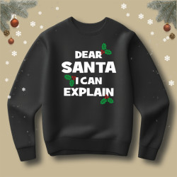 Bluza Dear Santa i can explain