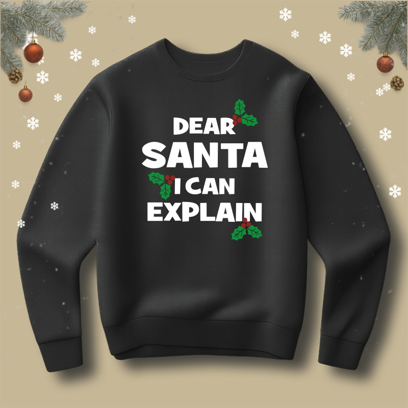 Bluza Dear Santa i can explain