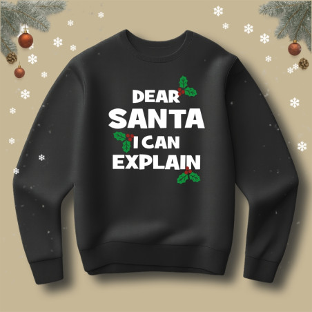 Bluza Dear Santa i can explain