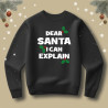 Bluza Dear Santa i can explain