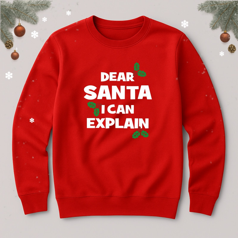 Bluza Dear Santa i can explain