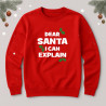 Bluza Dear Santa i can explain