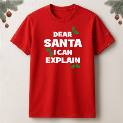 Koszulka / t-shirt  Dear Santa I Can Explain