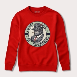 Bluza (wersja męska) I'm not old, I'm experienced