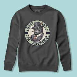 Bluza (wersja męska) I'm not old, I'm experienced